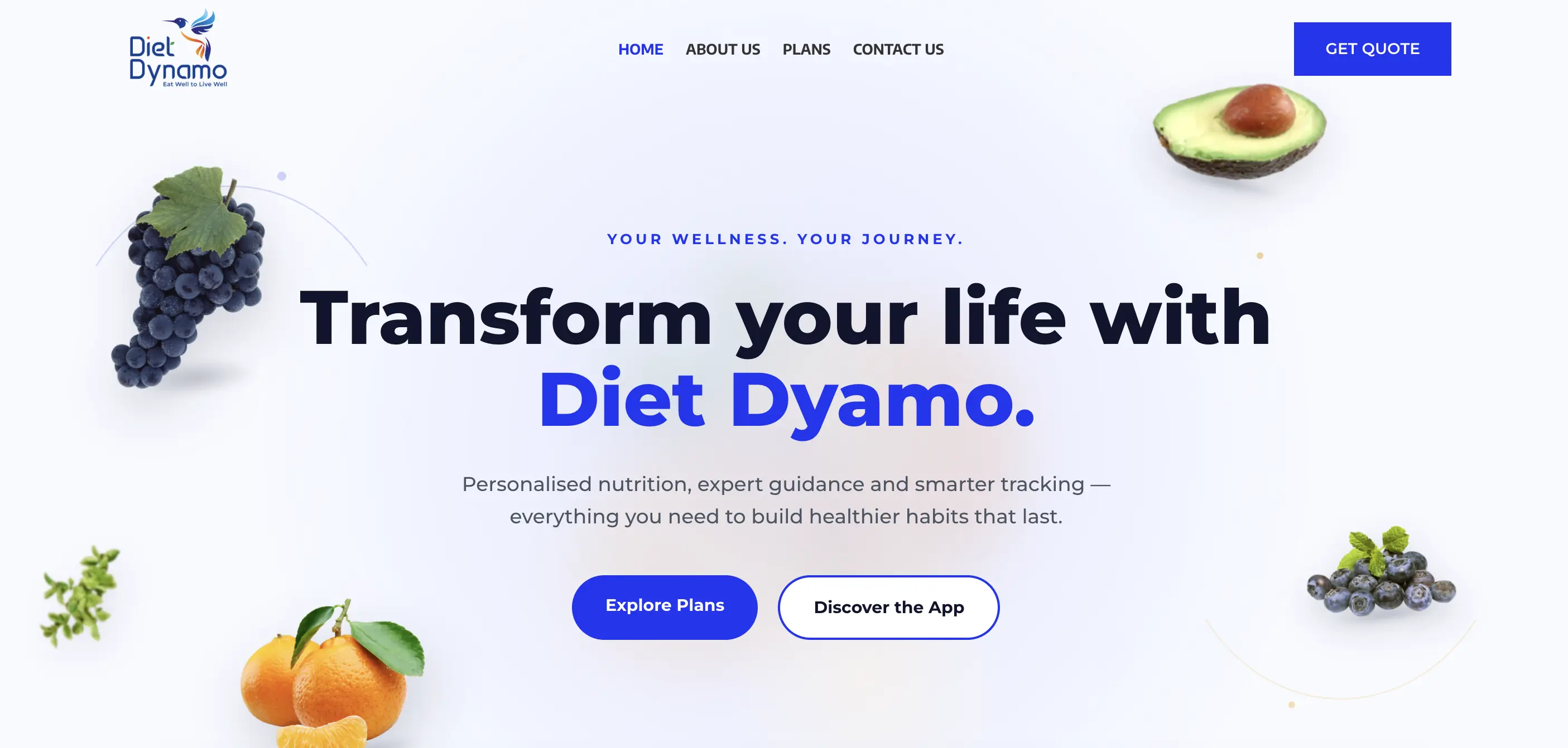 Diet Dynamo website